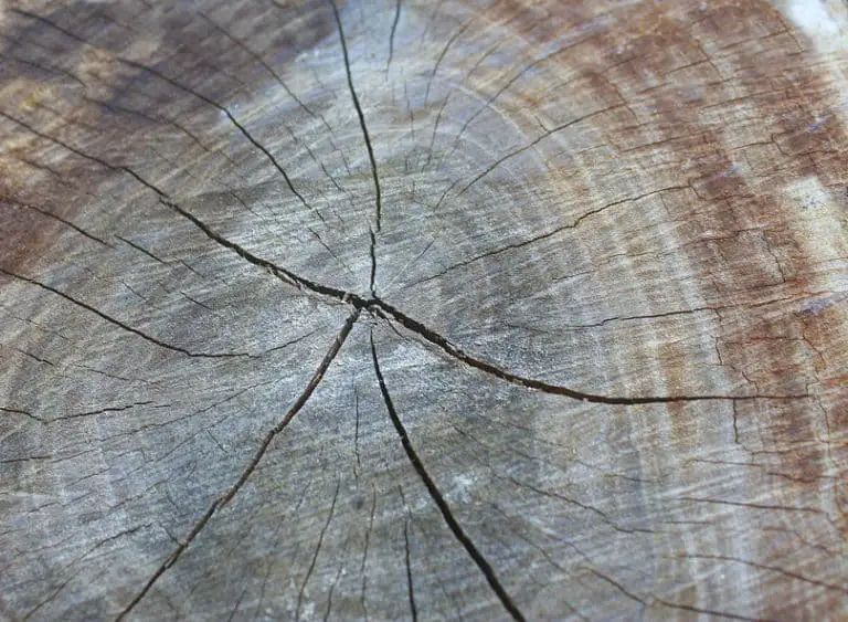 Wood Sign Crack Split Prevention Spreading Repair
