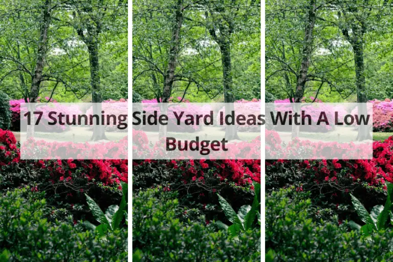 17 Stunning Side Yard Ideas With A Low Budget