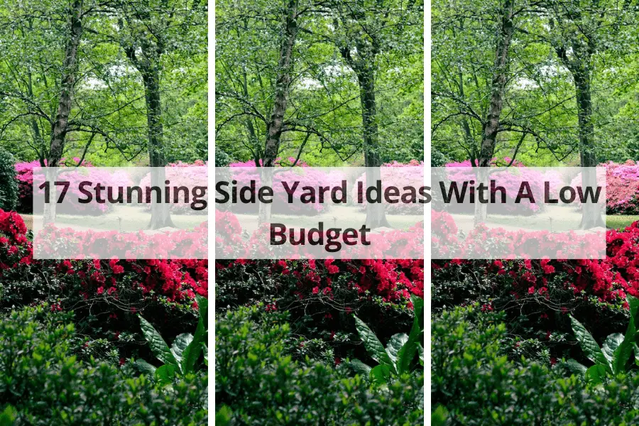 side yard ideas