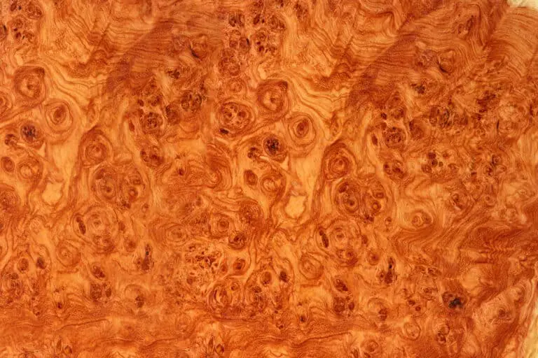 Why Burl Wood – What Is It And Why Is It So Popular For Woodworking
