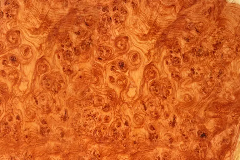 what is burl wood
