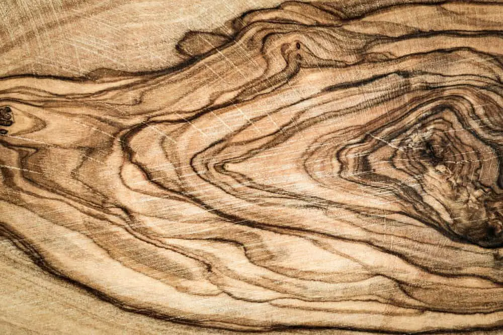 what is burl wood